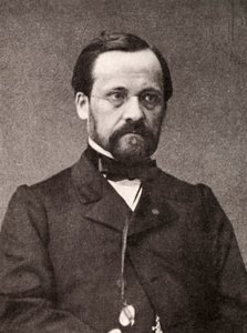 法国微生物学家和化学家路易斯·巴斯德（Louis Pasteur），19世纪 作者 不明