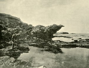 1901年，瓦南布尔，Shelly Beach，退潮。 作者 不明
