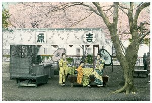 1904年，日本公共公园的午餐摊 作者 不明