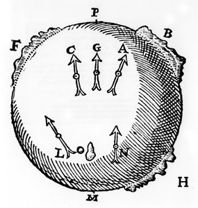 磁性，1600年 作者 不明