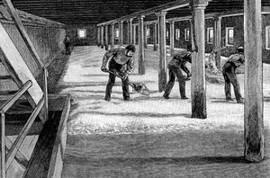 1885年，一家美国啤酒厂的麦芽地板 作者 不明