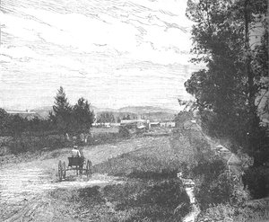 市场街，比勒陀利亚，c1880年代 作者 不明