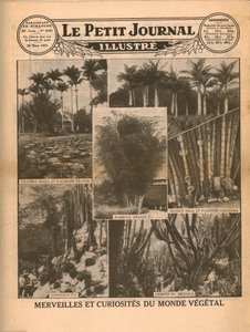 1931年植物世界的奇事和奇观。 作者 不明