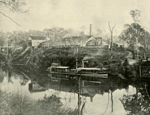 1901年，位于新南威尔士州格拉夫顿附近的Meat Works。 作者 不明