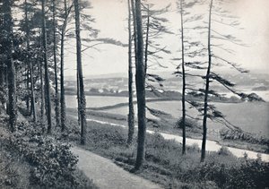 梅奈-1895年从班戈伍德出发 作者 不明