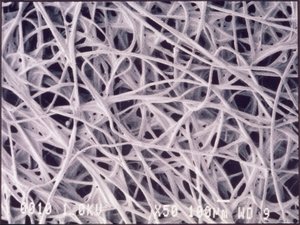 Micrographs (Light) Chemotextile cloth, light micrograph 作者 不明