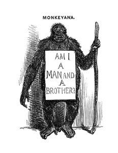 Monkeyana：我是男人还是兄弟，1861年 作者 不明