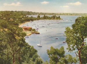 Mosman湾，基恩斯角，薄荷林，c1947。 作者 不明