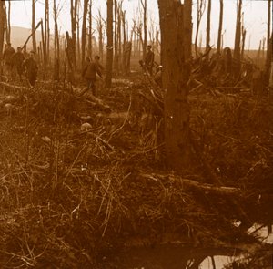 比利时法兰德斯凯末尔山（Mount Kemmel），c1914-c1918 作者 不明