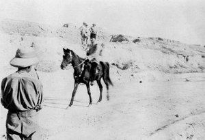 坐骑的土耳其军官于1918年离开第一次世界大战美索不达米亚摩苏尔 作者 不明