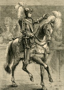 1881年国王冠军戴莫克先生。 作者 不明