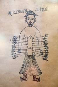 越南传统医学博物馆，通道和血管，针灸之书，胡志明市，越南 作者 不明
