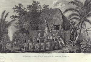 夏威夷桑威奇群岛的原住民在c1778年库克船长前屠宰猪 作者 不明