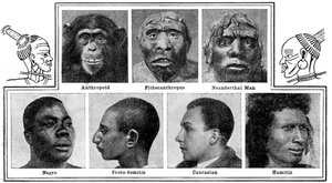 鼻子的自然进化设计，1922年 作者 不明