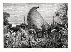 西南太平洋，新喀里多尼亚土著小屋，1877年 作者 不明