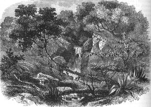 新西兰风景，c1880 作者 不明
