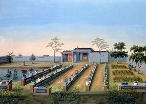 苗圃花园，中国，约1820-1840年 作者 不明
