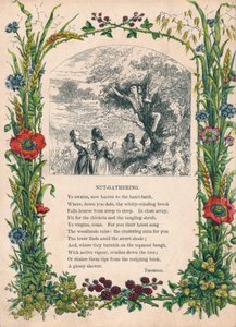 汤姆森（Thomson）摄制的《坚果聚集》，1900年 作者 不明
