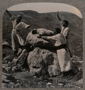 献羊肉祭坛，莫雷，约1900年 作者 不明