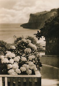 IW老尚克林头，c1920年。 作者 不明