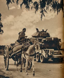 1943年北非的新旧 作者 不明