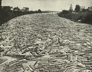 1948年，在通往锯木厂的路上。 作者 不明
