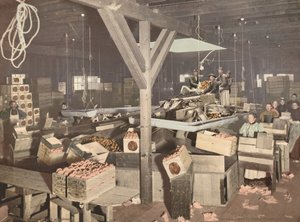 Redlands的橙色包装，1899年出版。 作者 不明