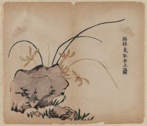 岩石上的兰花，十八世纪。 作者 不明