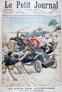 鸵鸟袭击汽车，美国加利福尼亚，1904年 作者 不明