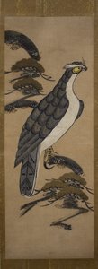 松树上的猎鹰的大津绘，18世纪。 作者 不明