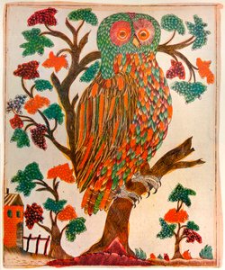 猫头鹰，1800年 作者 不明