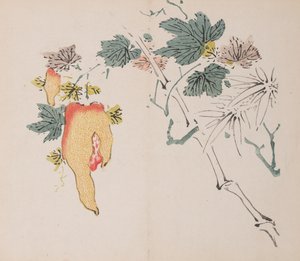 石竹斋的页面。 作者 不明