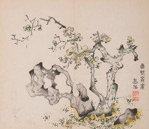 石竹斋的页面。 作者 不明