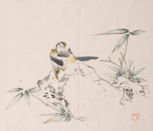石竹斋的页面。 作者 不明