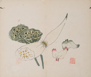 石竹斋的页面。 作者 不明