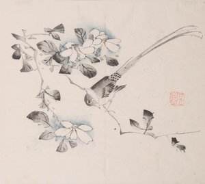 石竹斋的页面。 作者 不明