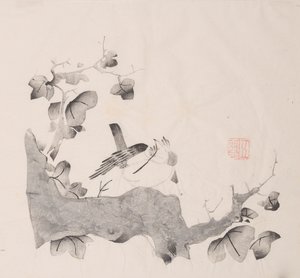 石竹斋的页面。 作者 不明