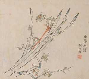 石竹斋的页面。 作者 不明