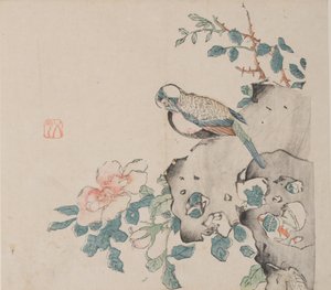 石竹斋的页面。 作者 不明