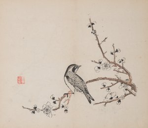 石竹斋的页面。 作者 不明