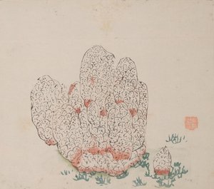 石竹斋的页面。 作者 不明
