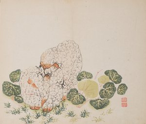 石竹斋的页面。 作者 不明