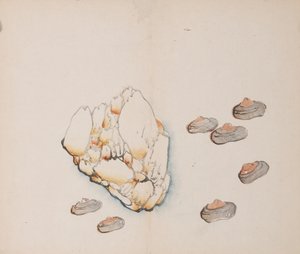 石竹斋的页面。 作者 不明