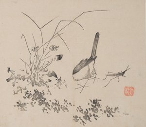 石竹斋的页面。 作者 不明