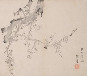 石竹斋的页面。 作者 不明