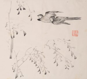 石竹斋的页面。 作者 不明