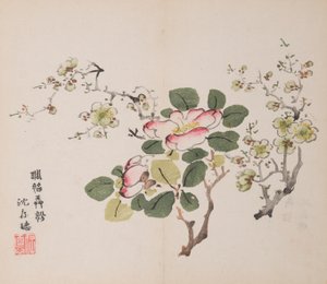石竹斋的页面。 作者 不明