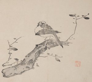 石竹斋的页面。 作者 不明
