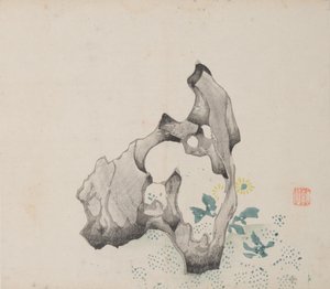 石竹斋的页面。 作者 不明
