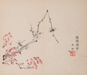 石竹斋的页面。 作者 不明